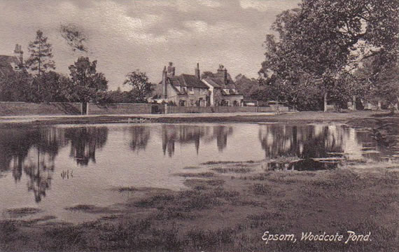Woodcote Pond postcard