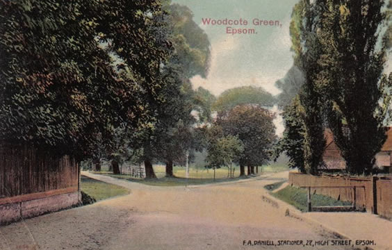 Woodcote Green postcard