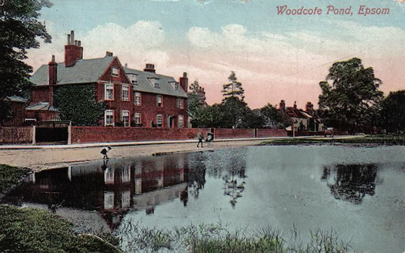 Woodcote Pond Epsom