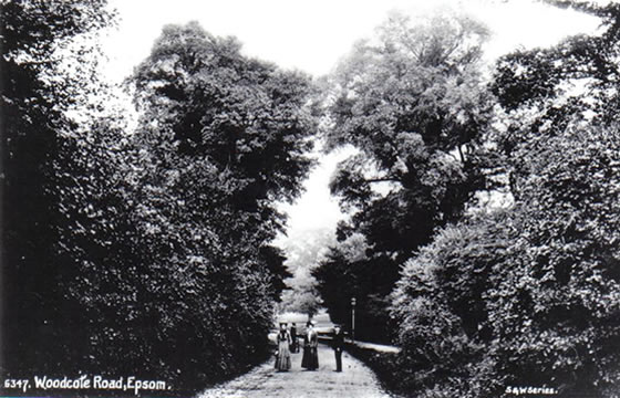 Woodcote Road Epsom