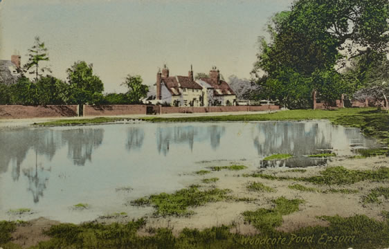 Woodcote Pond Epsom