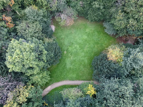 Aerial view of the glade
